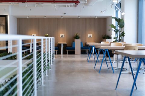 A bright and inviting office reception area with polished floors, dust-free surfaces, and a welcoming atmosphere, courtesy of Mindful Cleaning Services.